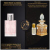 Burberry Brit Rhythm Floral Original Attar Perfume