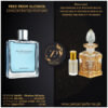 Davidoff Silver Shadow Altitude Original Attar Perfume